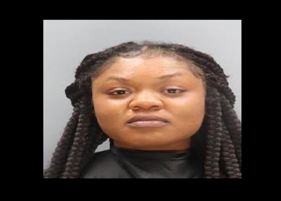 Suspect in Forest Acres assault-related burglary turns herself in ...