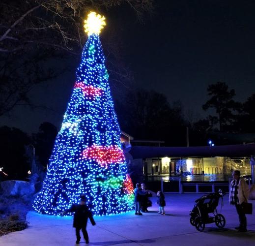 Riverbanks zoo’s “Lights Before Christmas” a must-do holiday tradition