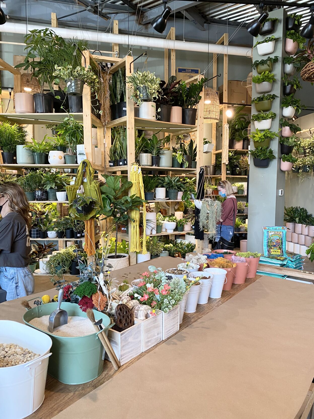 PlantHouse opening in Columbia, offering terrarium-building workshops |  Business | coladaily.com
