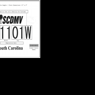 New trackable, temporary S.C. license plates designed to cut down on ...