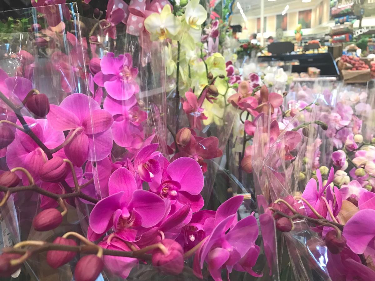 Forest Acres Lowes Foods Opening Wednesday Offering More Than 2000 Local Products Business Coladaily Com