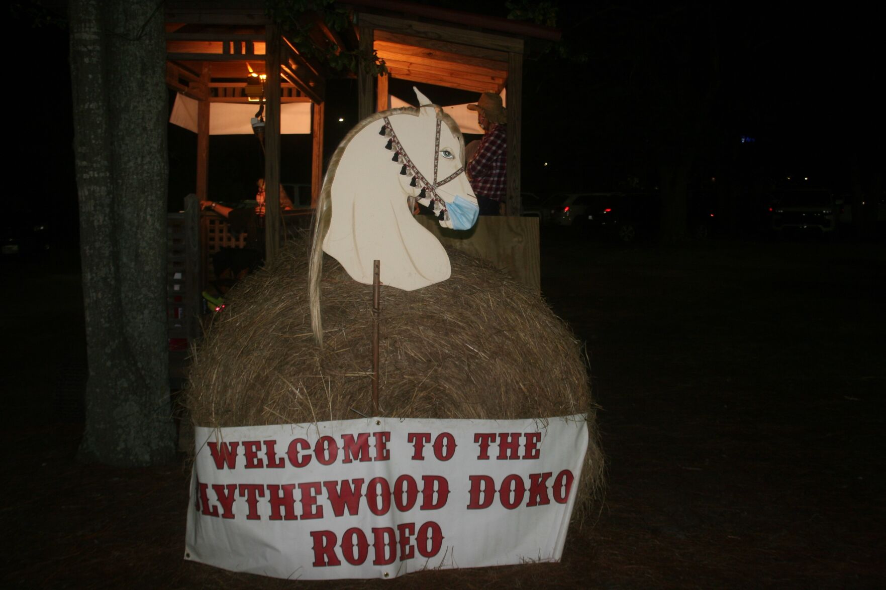 Blythewood Hosts 10th Annual Doko Rodeo | Blythewood | Coladaily.com