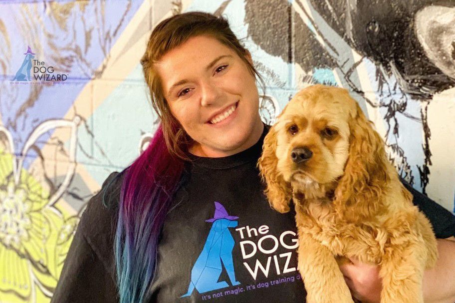 The Dog Wizard Reopens In Columbia Under New Ownership Business Coladaily Com