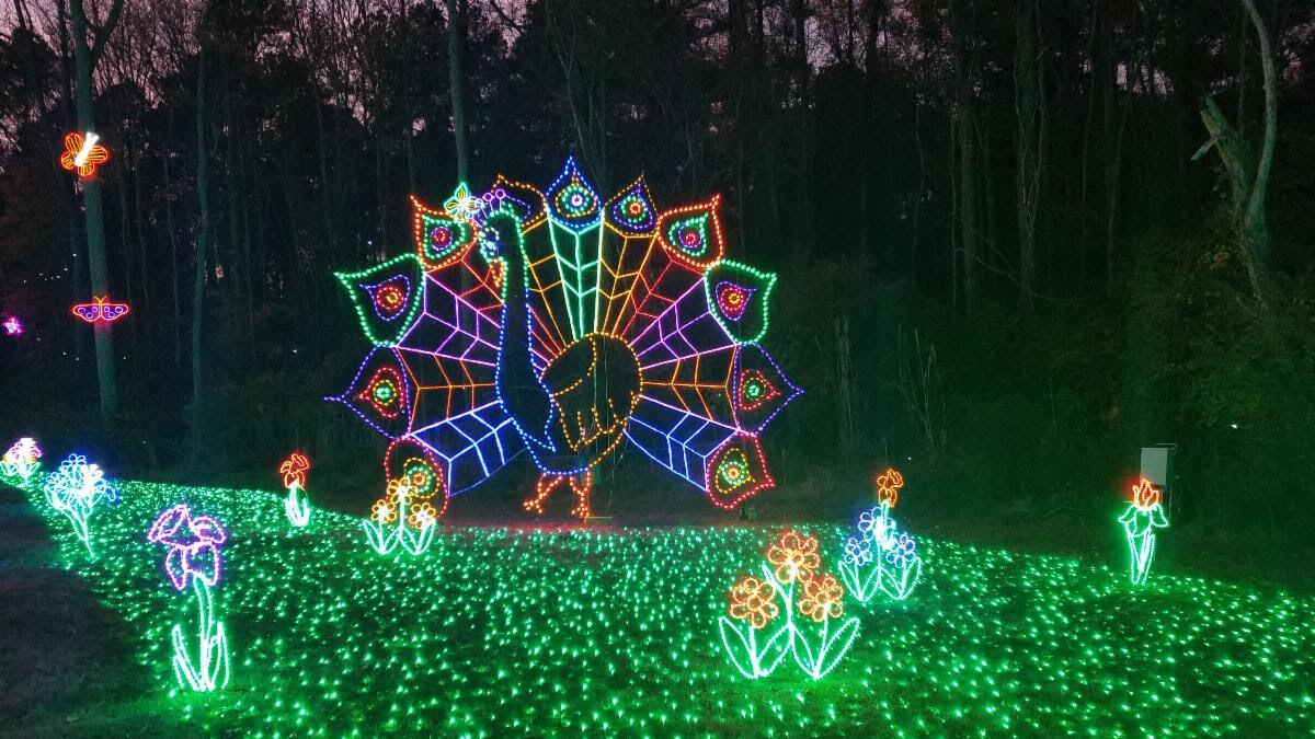 Holiday Lights on the River returns at Saluda Shoals Park | Communities |  coladaily.com