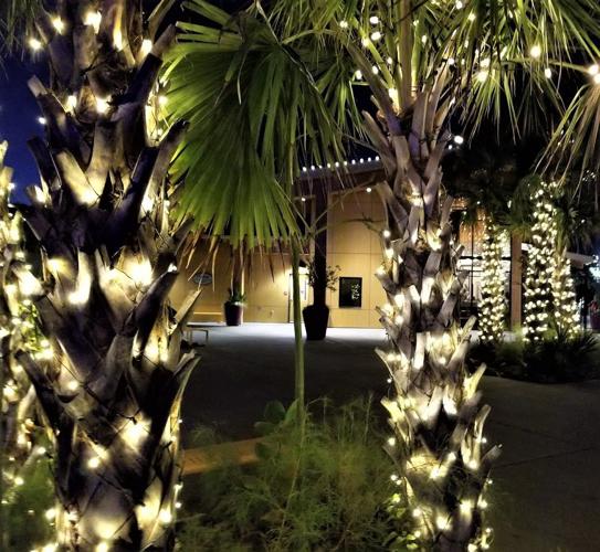 Riverbanks zoo’s “Lights Before Christmas” a mustdo holiday tradition