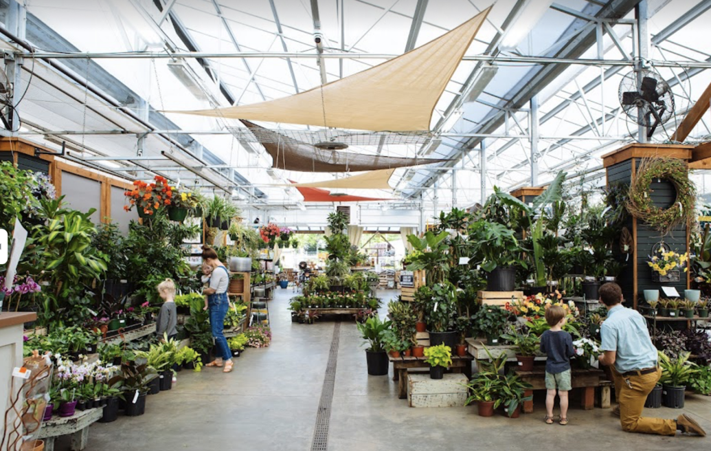 Woodley's Garden Center acquires new name and owner Cayce