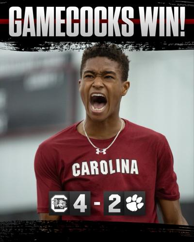 Clemson Gamecock Memes