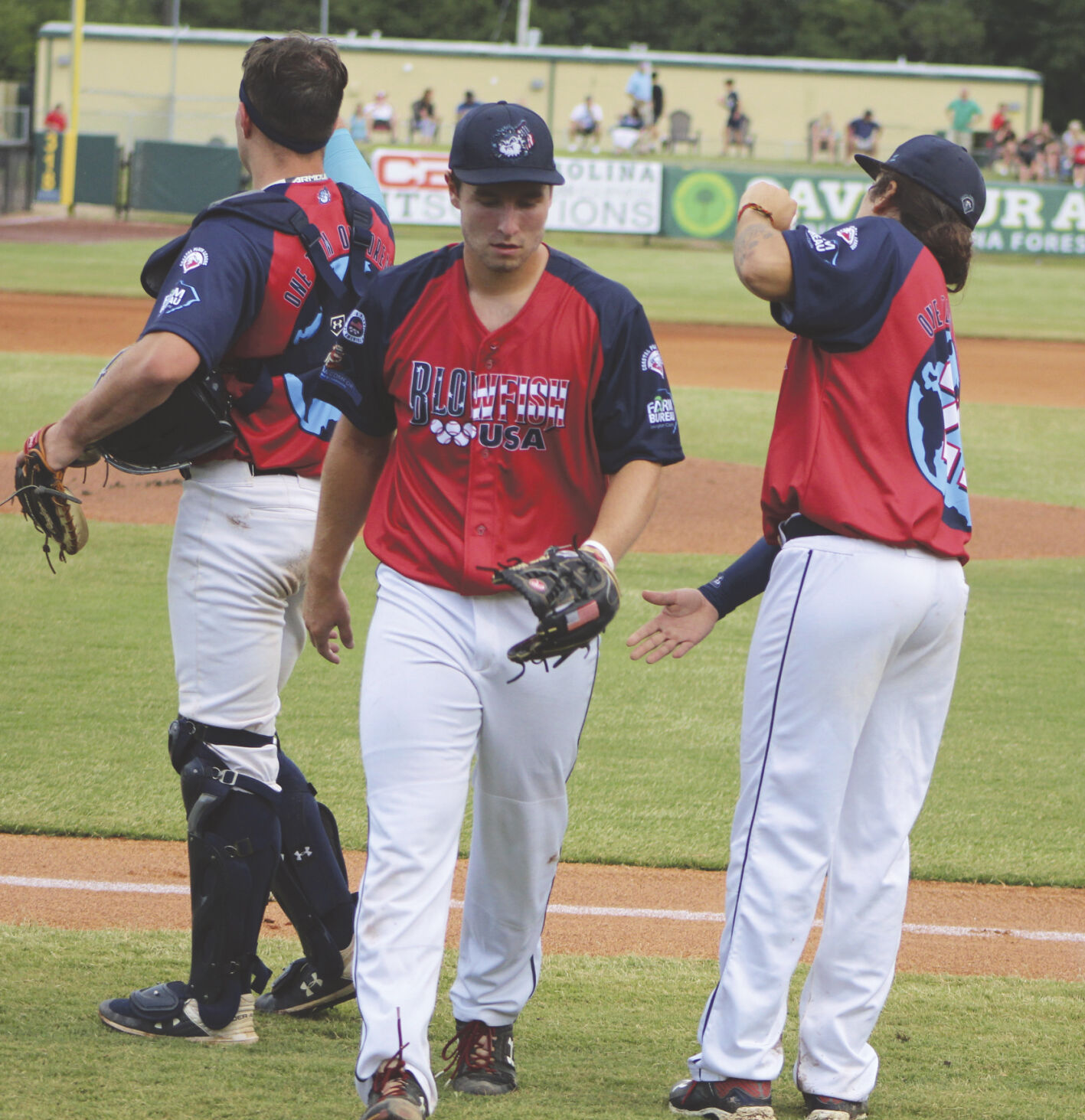 Former Gamecocks, Blowfish head to MLB 