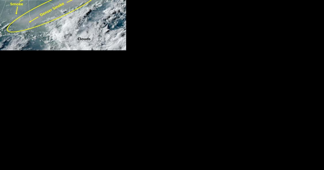DHEC issues South Carolina air quality alert due to Canadian wildfires - Vimarsana News