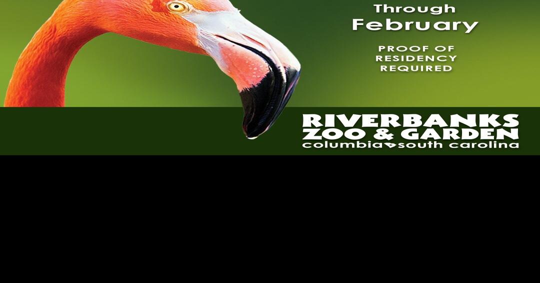 Free Fridays are back at Riverbanks Zoo Lifestyle