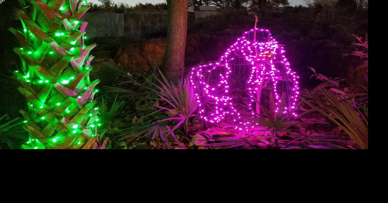 Riverbanks zoo’s “Lights Before Christmas” a mustdo holiday tradition