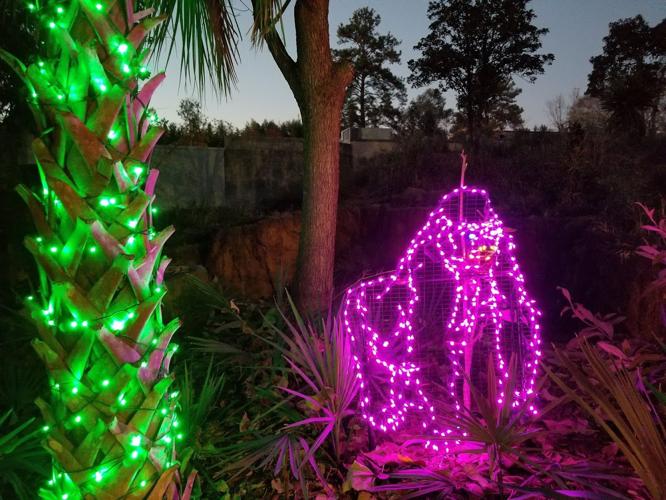 Riverbanks zoo’s “Lights Before Christmas” a mustdo holiday tradition