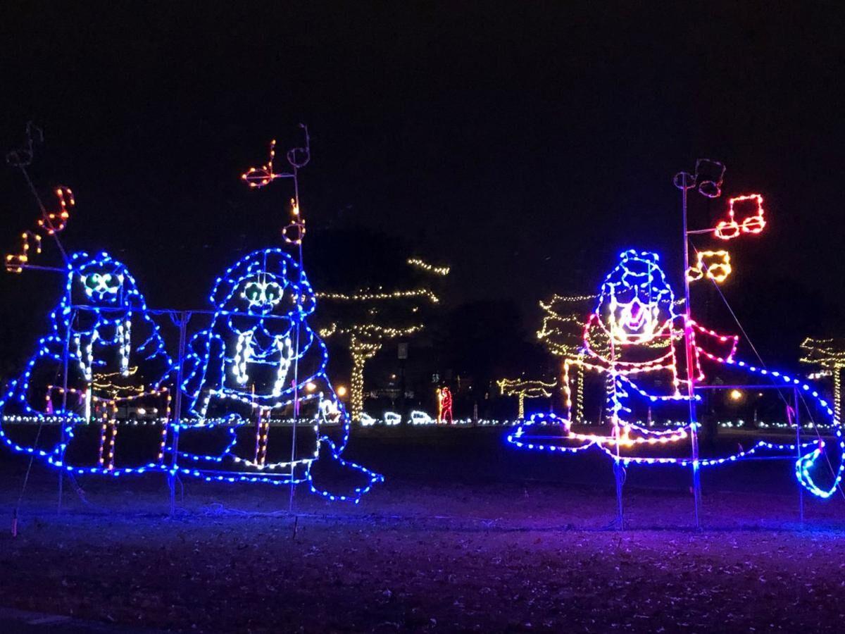 Carolina Lights drivethrough holiday light show returning to SC State Fairgrounds Columbia