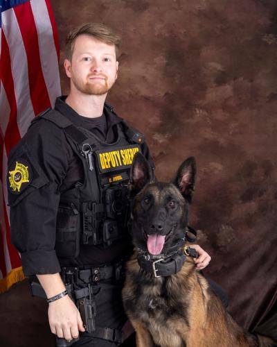 K9 Ribbi Richland County K9 team awarded SC Deputy of the Year | Columbia ...