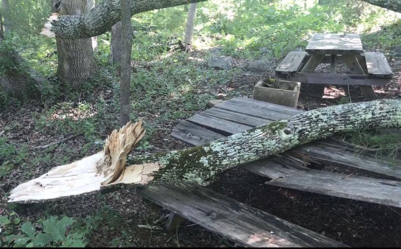 Blythewood's Camp Discovery seeks donations to replace tables, benches ...