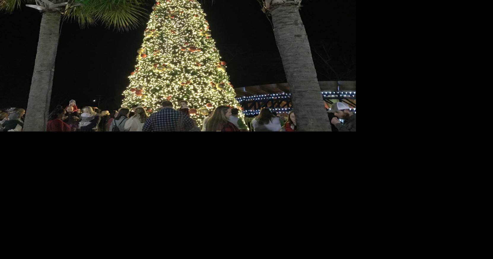 Town of Lexington rings in Christmas season with tree lighting ...