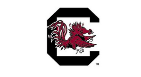 University of South Carolina unveils new logos, now to be called U of ...