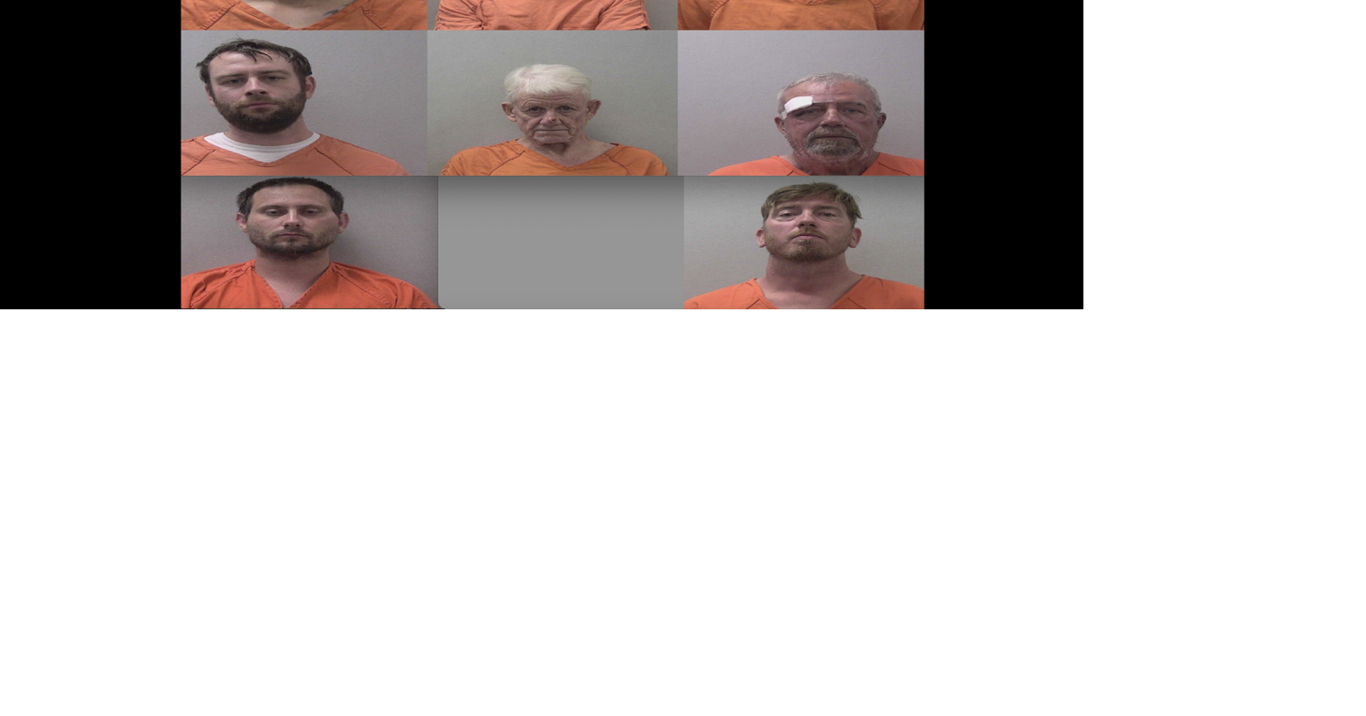 Seven Lexington County men arrested in undercover online sexual ...