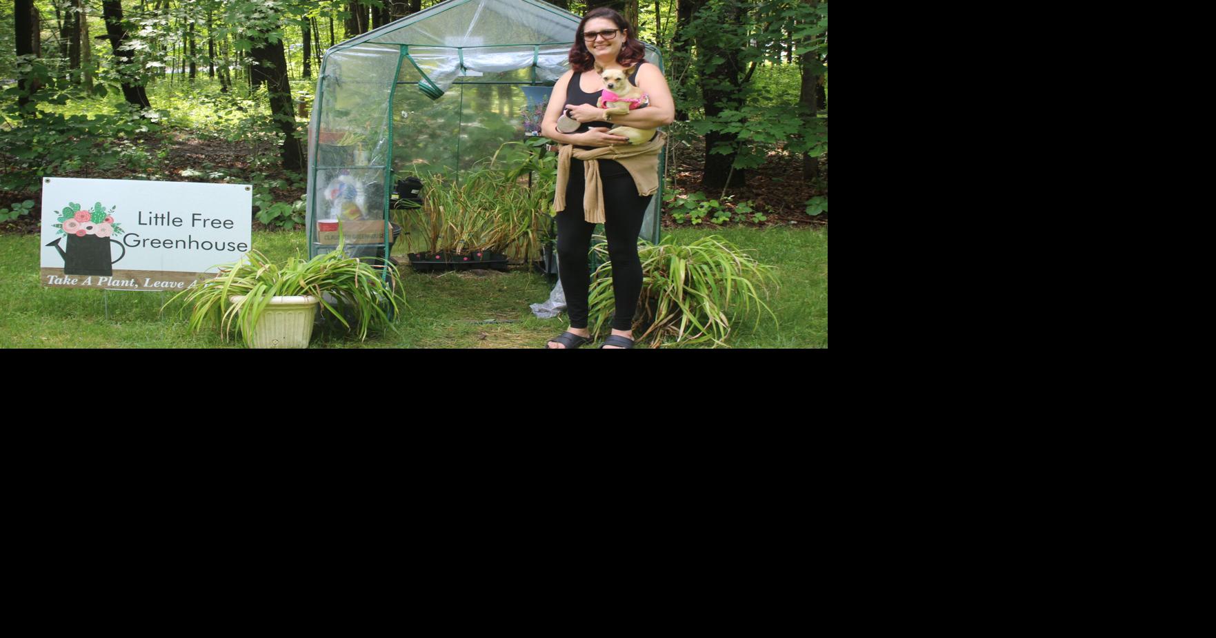 Take a plant, leave a plant Little free greenhouse brings life to