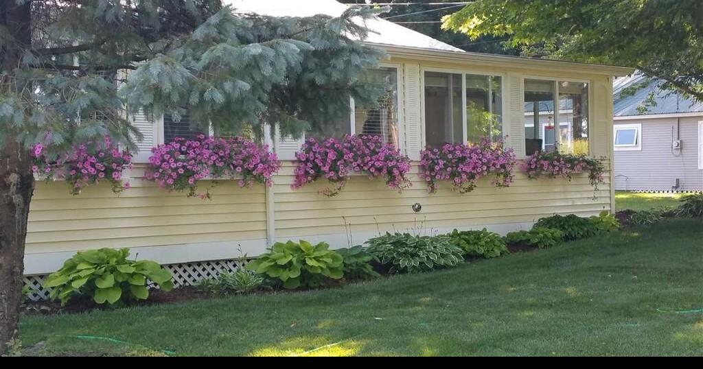 You can buy a lakefront Colchester cottage for 329,000