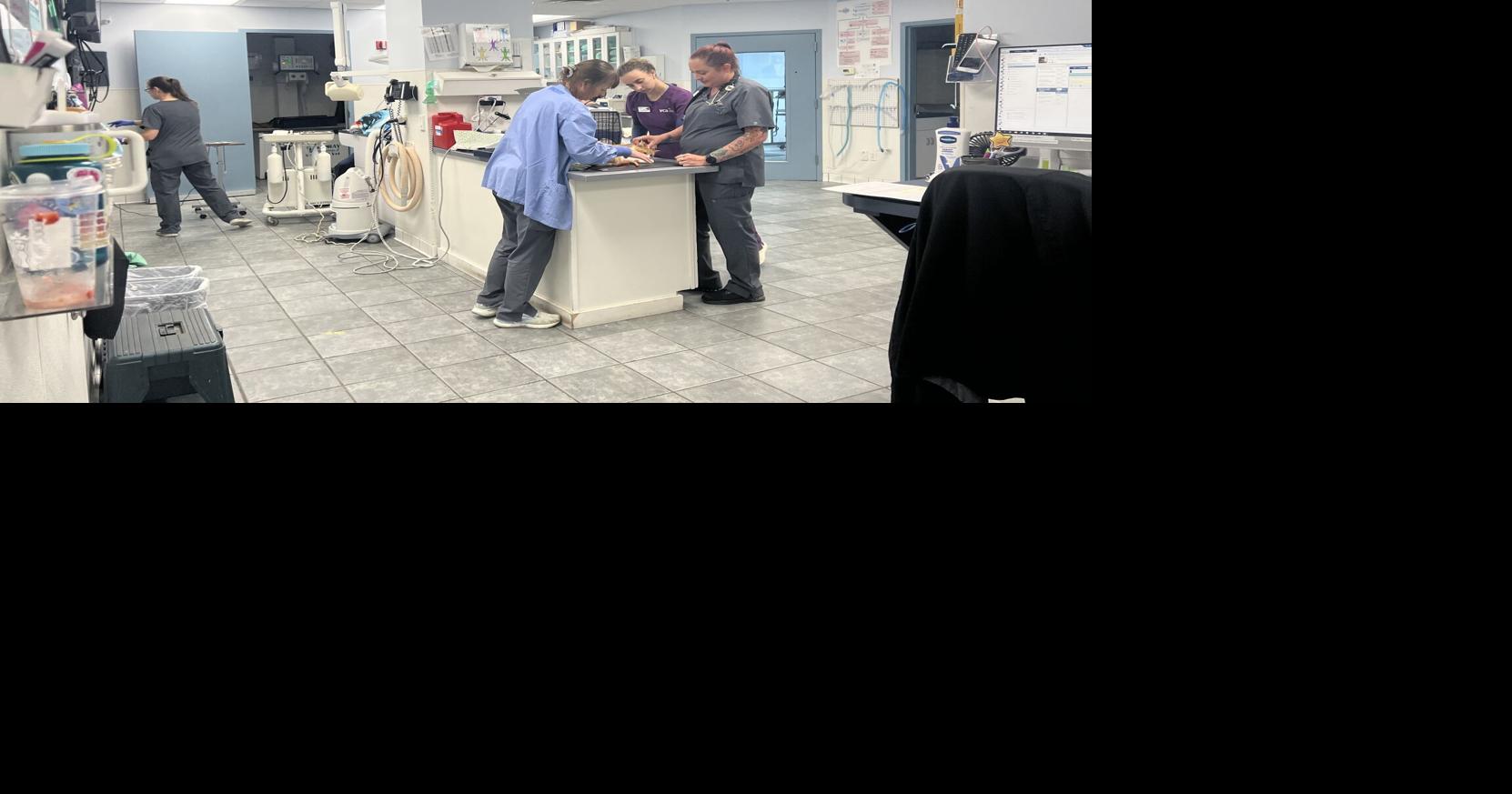 Serving the whole family: How VCA Fitzgerald Animal Hospital cares for pets and their owners | Local News