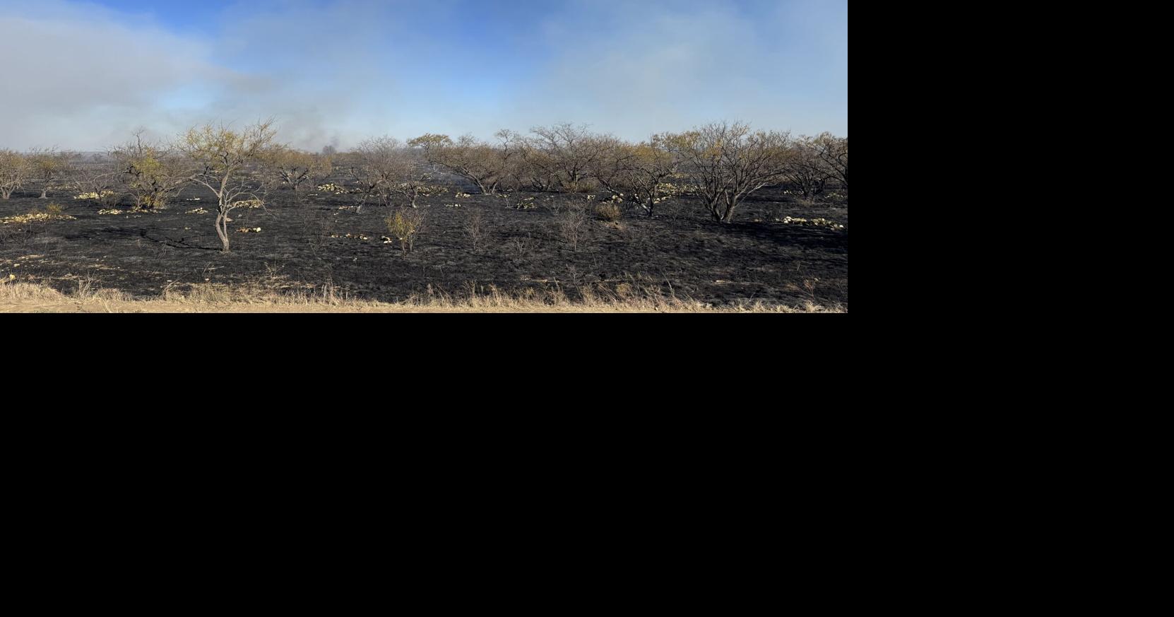 Massive Fire North of Coleman Prescribed by Leanin T Fire Company ...