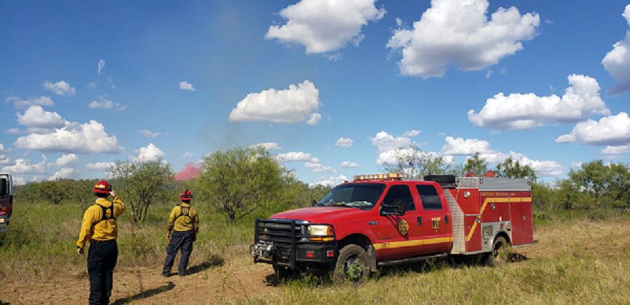 coleman fire commander