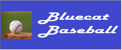 Bluecat Baseball CHS