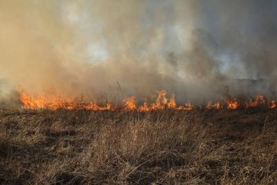 Grass Fire