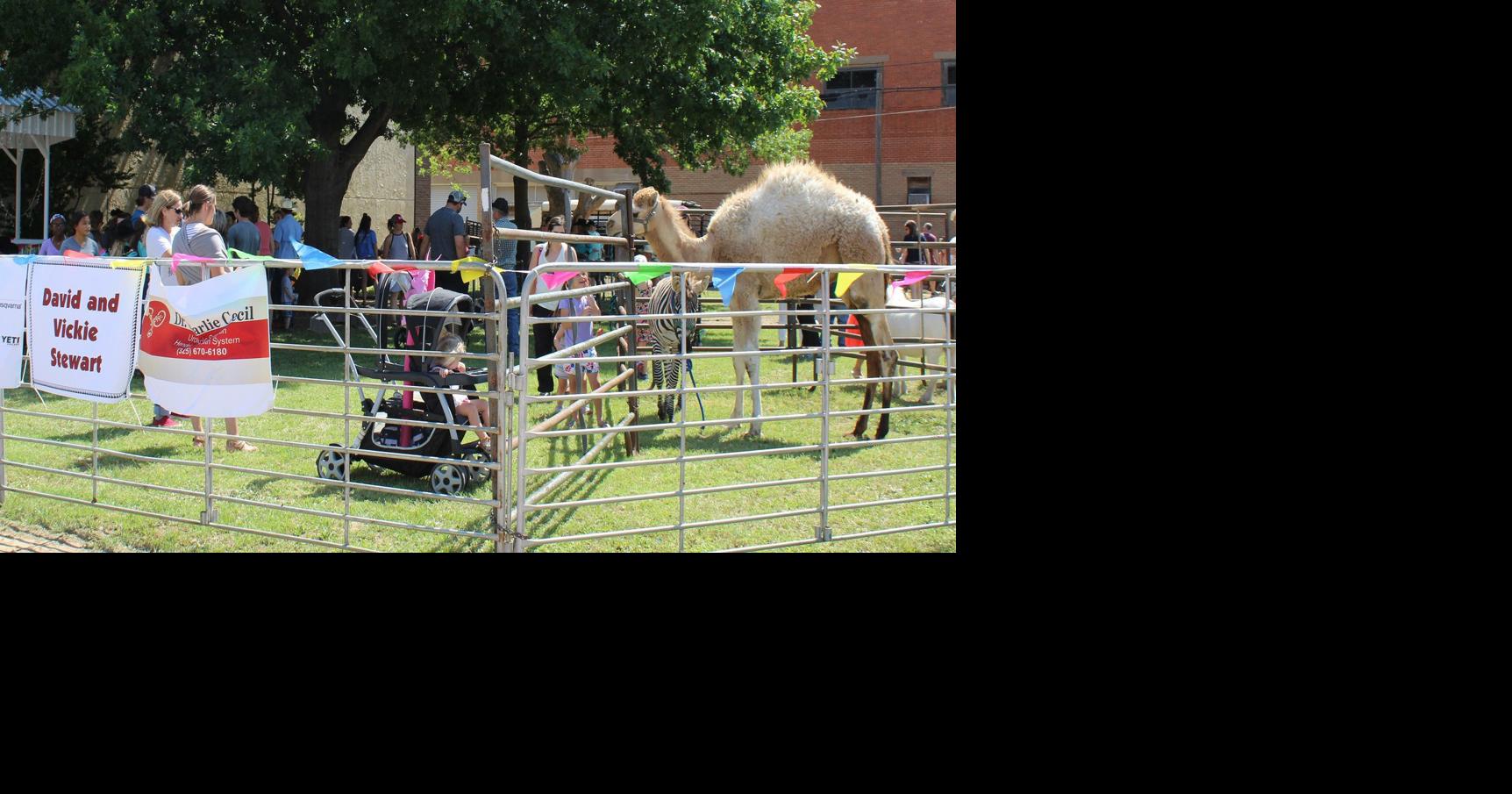 PHOTO ALBUM of Downtown Coleman Rodeo Weekend Galleries