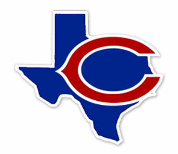 bluecat logo