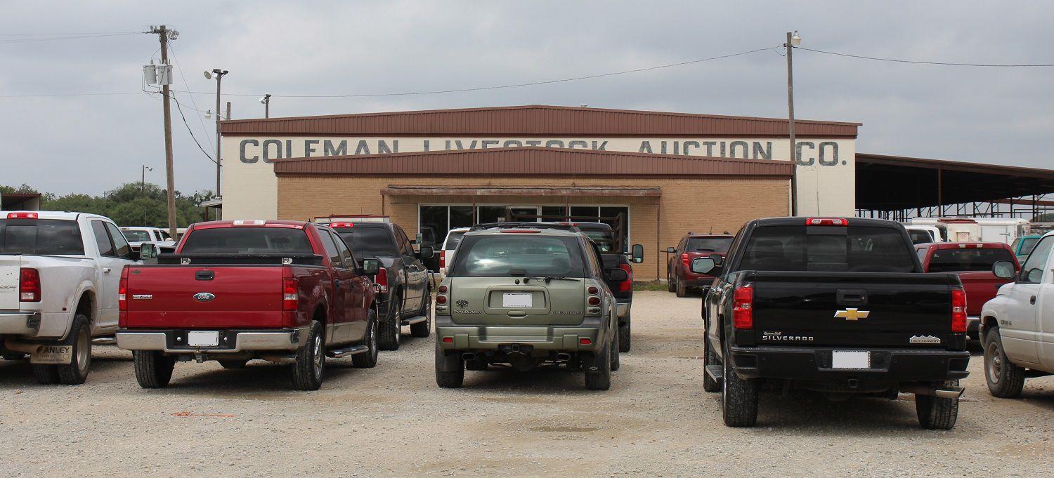 Coleman Livestock Auction Market Report for February 5, 2020 Business