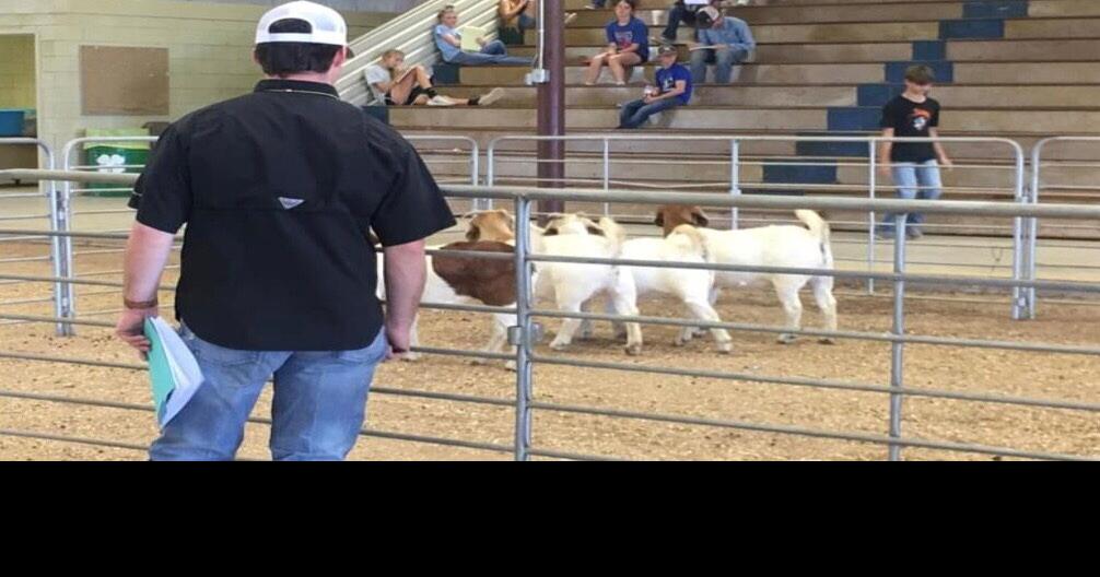 4H Livestock Judging Practice This Past Sunday 4H