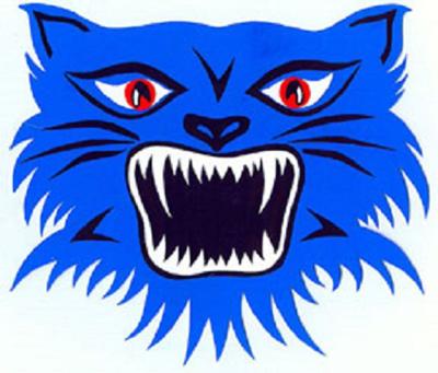 Bluecat Logo - Old