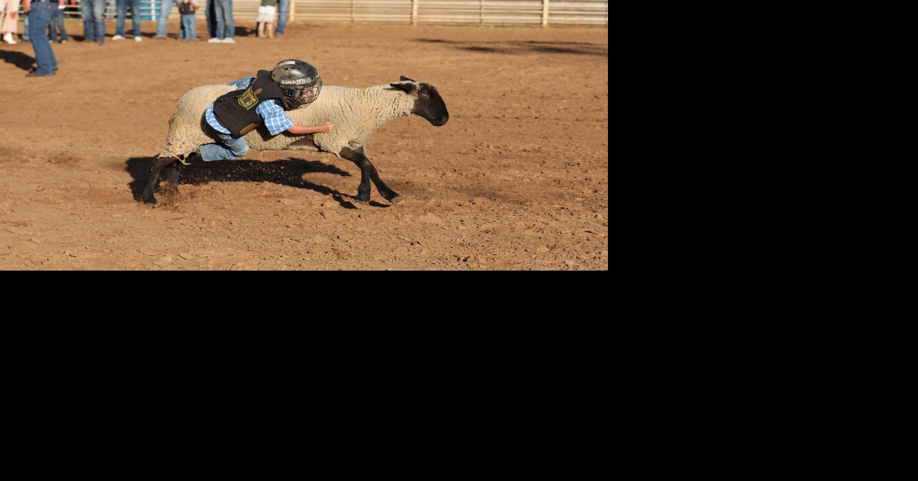 PHOTO ALBUM - Coleman PRCA Rodeo 2023 - Mutton Bustin' Saturday Night ...