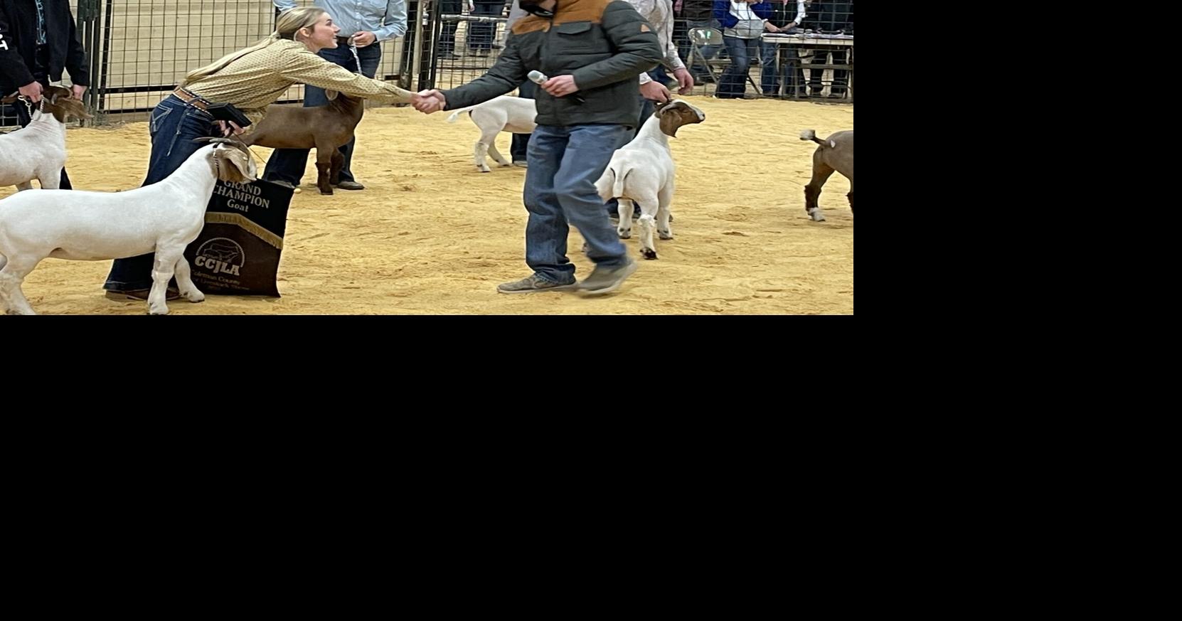 Goat Show Grand Champion and Reserve Grand Champion News