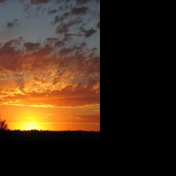 Zona Mae Marshall, 78, | Obituaries | colemantoday.com