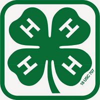 4-H
