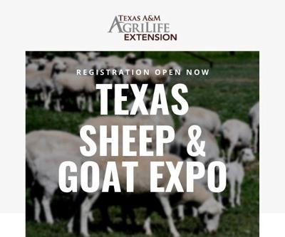 Texas Sheep & Goat Expo