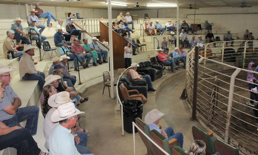 West Texas Rehab Auction Wednesday, October 6th News