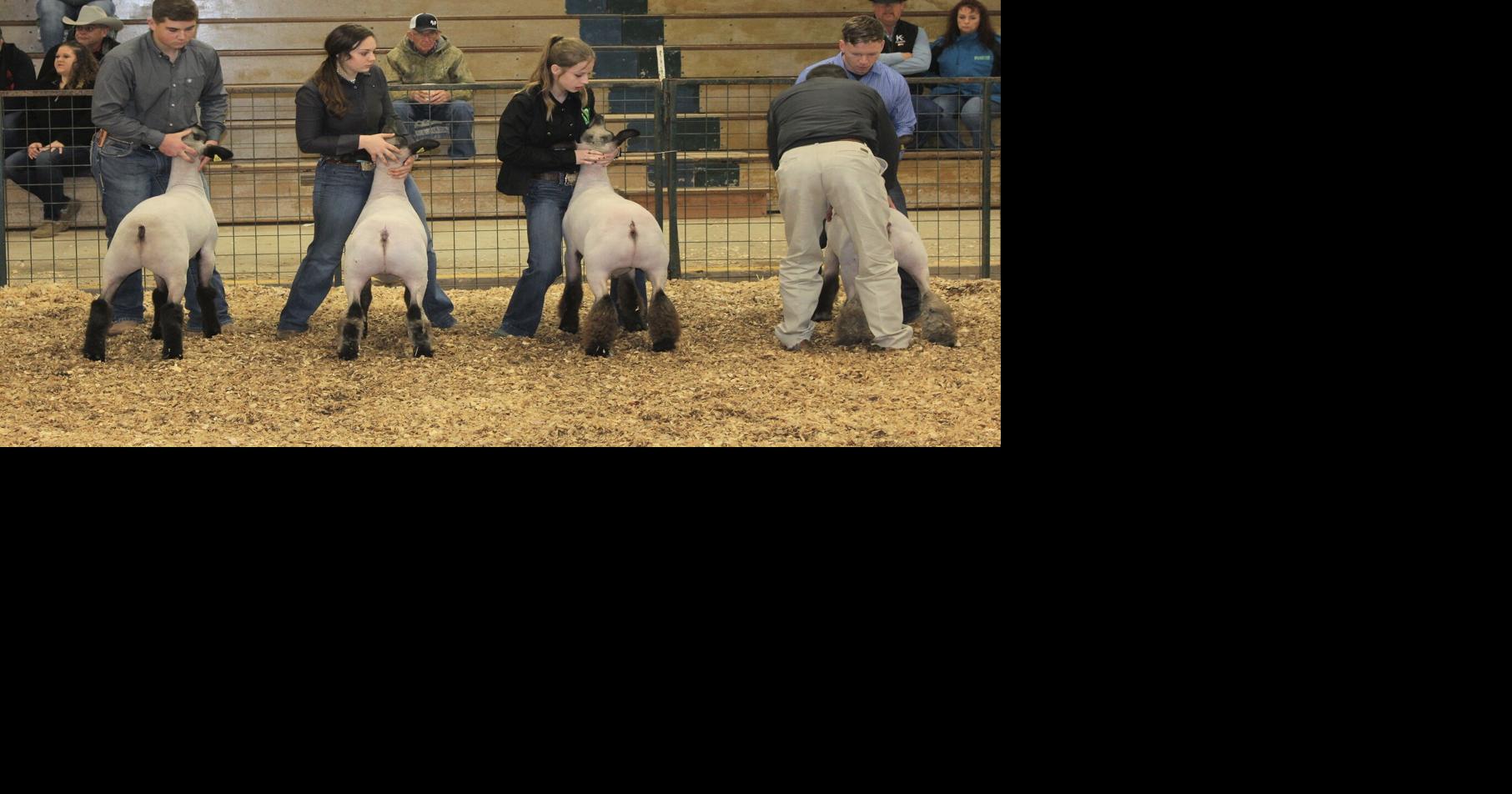 Coleman County 4-H Sheep and Goat Showmanship Clinic | 4-H ...