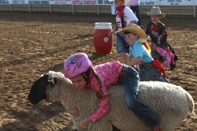 Mutton Bustin' 2019