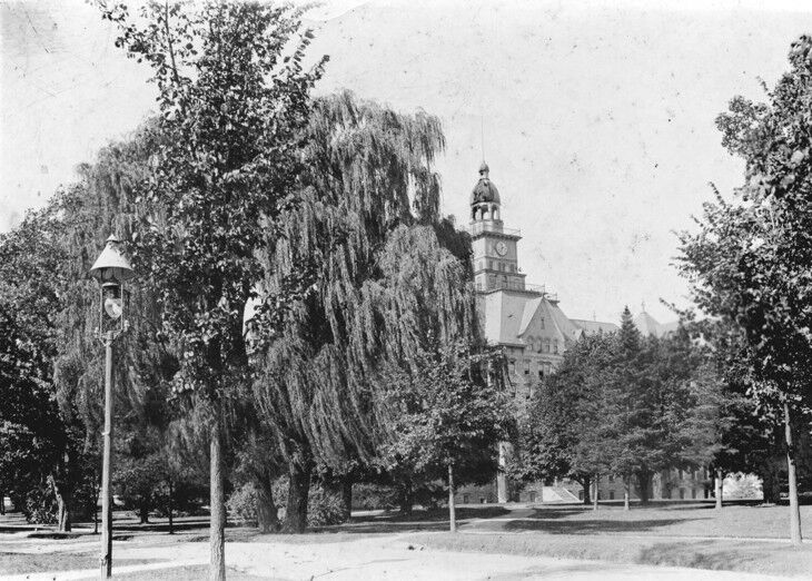 'I loved that tree' | Penn State alumni reflect on history of Old Willow tree | University Park Campus News - Vimarsana News