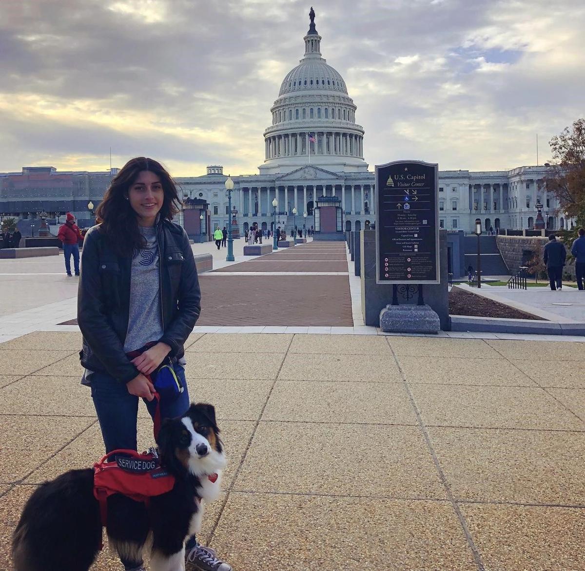Please Ignore Me Why You Should Not Pay Attention To Service Dogs Opinion Columns Opinion Daily Collegian Collegian Psu Edu Please Ignore Me Why You Should Not Pay Attention To Service Dogs Opinion Columns Opinion Daily Collegian Collegian Psu Edu