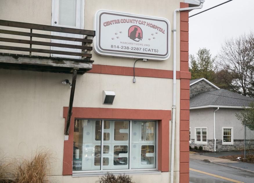 Centre County Cat Hospital Opens In State College State College