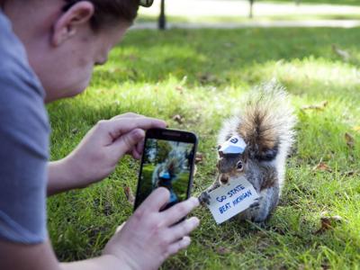 Sneezy The Penn State Squirrel - Mary Krupa