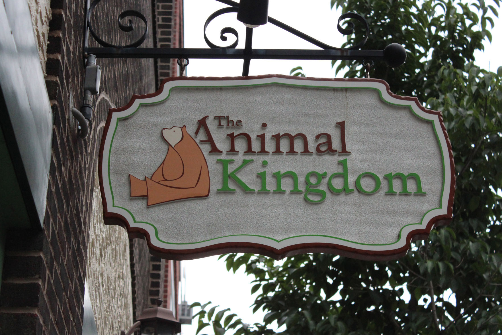 animal kingdoms toy store