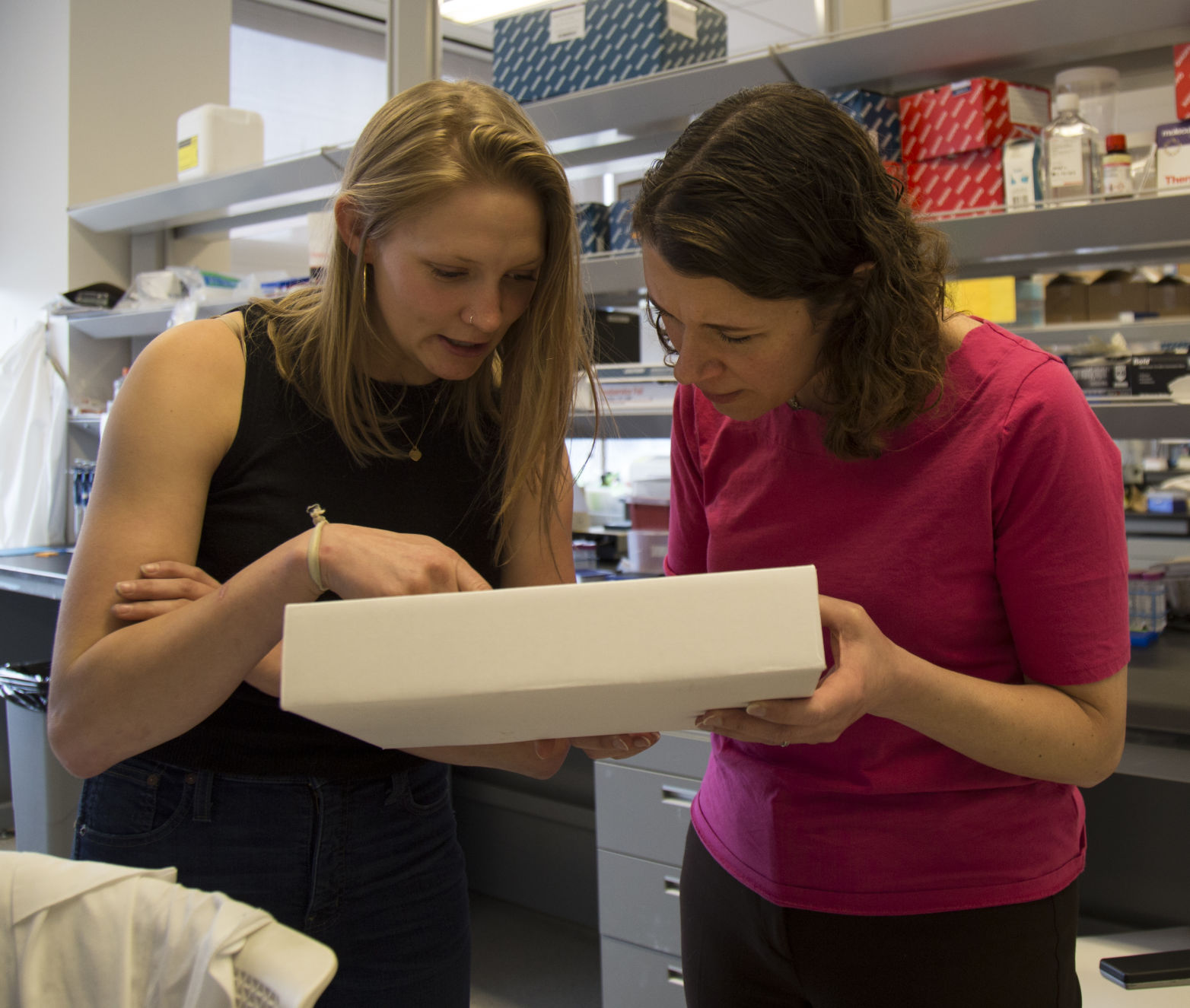 Penn State-led research team receives grant to conserve pollinator populations - Vimarsana News