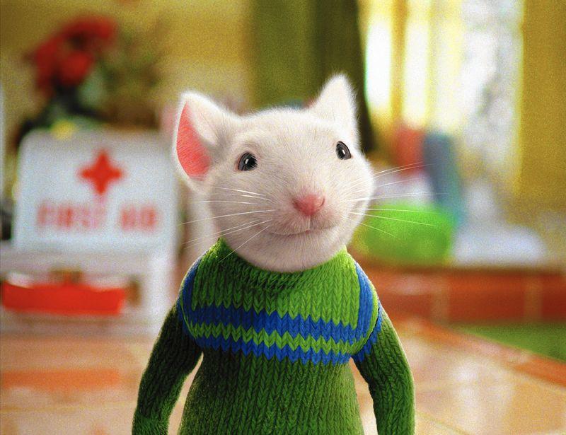 Langan Life Why I Can T Stand Stuart Little Opinion Columns Opinion Daily Collegian Collegian Psu Edu 1999 / сша stuart little стюарт литтл. why i can t stand stuart little
