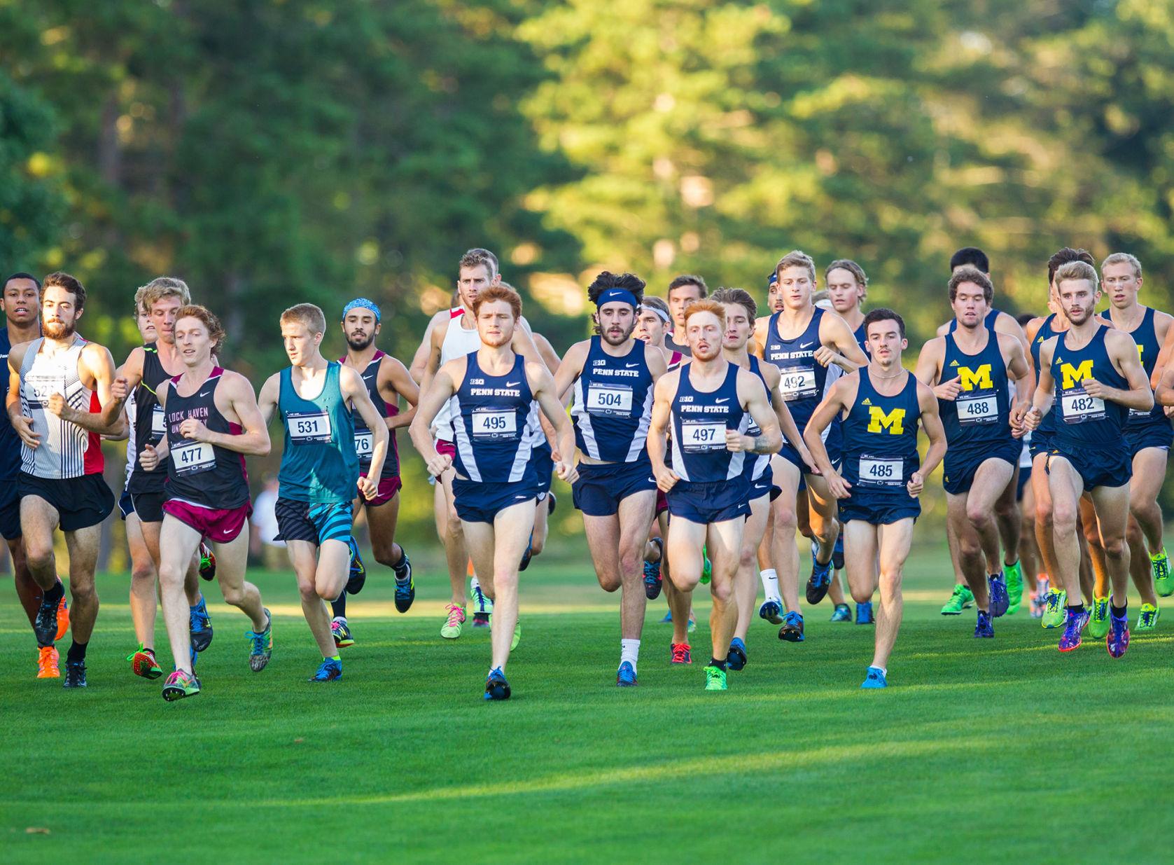 Penn State men’s cross country grows in seasonending defeat Penn